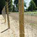 Amazon Australia Hinge Joint Fence Galvanized Woven Field Fence for Livestock